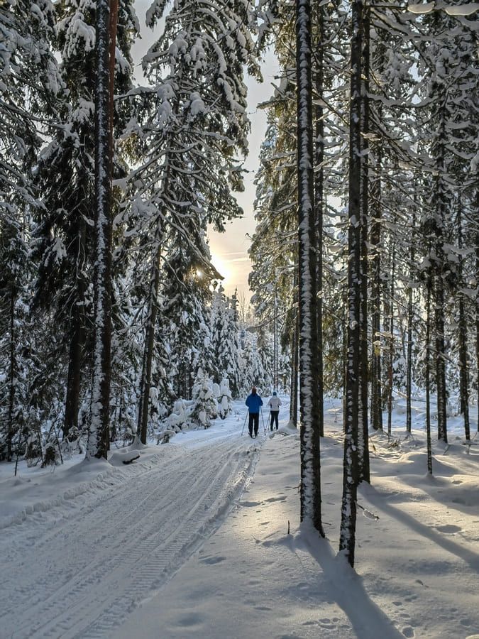 Спорт-Марафон Парк 5*